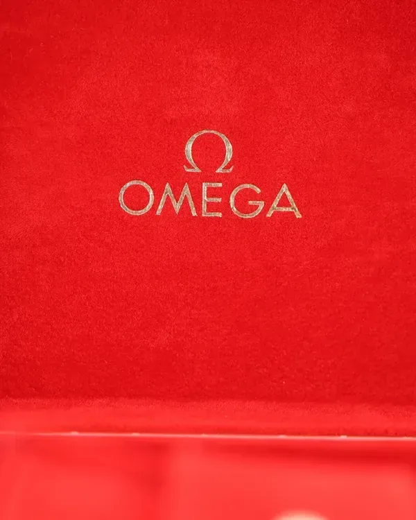Omega Seamaster Aqua Terra Quartz Silver Dial detail 8